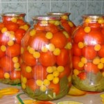 Zakuska iz alyichi i pomidorov 150x150 Закуска из алычи и помидоров