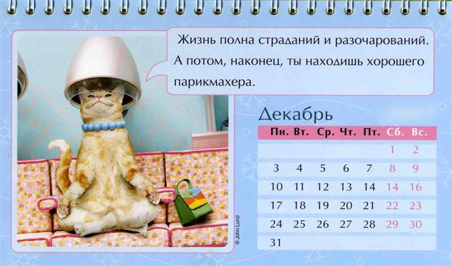 Dekabr kazhdogo goda Праздничный календарь на каждый год (шуточный)