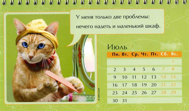 Iyul kazhdogo goda Праздничный календарь на каждый год (шуточный)
