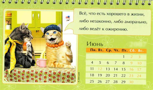 Iyun kazhdogo goda Праздничный календарь на каждый год (шуточный)