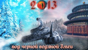 Kak pravilno vstretit Novyiy 2013 god god CHernoy Vodyanoy Zmei 300x171 Как правильно встретить Новый год 2013   год Водяной Черной Змеи