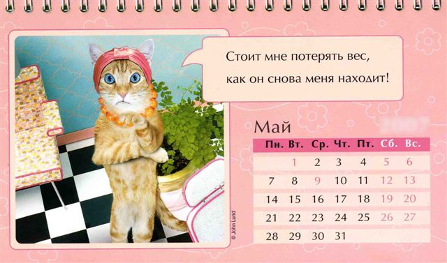 May kazhdogo goda Праздничный календарь на каждый год (шуточный)