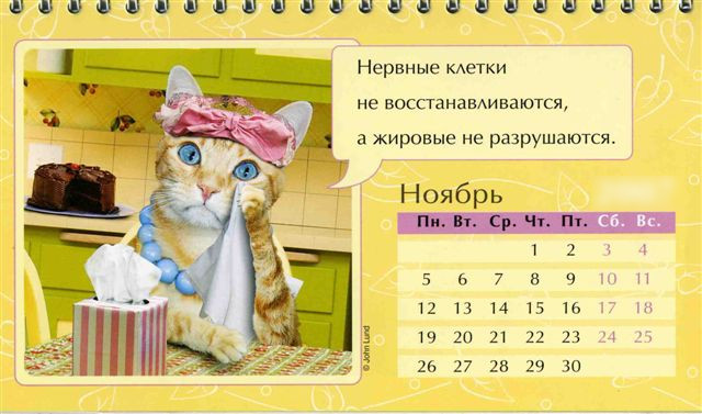 Noyabr kazhdogo goda Праздничный календарь на каждый год (шуточный)