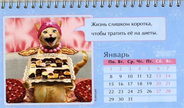YAnvar kazhdogo goda Праздничный календарь на каждый год (шуточный)