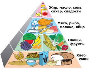 Osnovyi zdorovogo pitaniya Основы здорового питания 