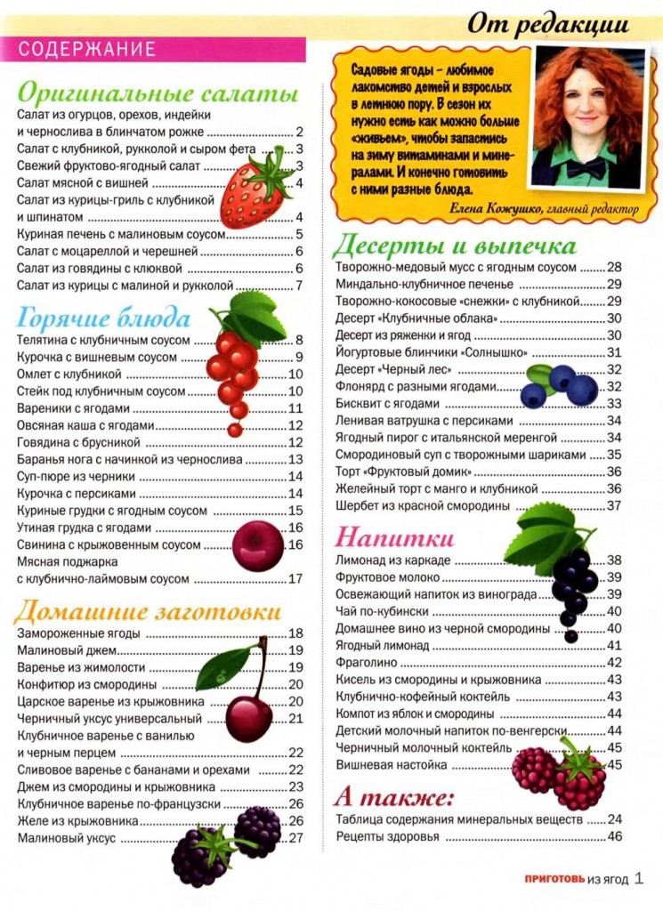 Prigotov    7 2014 goda spetsvyipusk sod 745x1024 Любимый кулинарно информационный журнал «Приготовь №7 2014 года. Спецвыпуск»