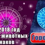 Kratkiy goroskop na 2018 god 2 150x150 Новогодние шуточные предсказания