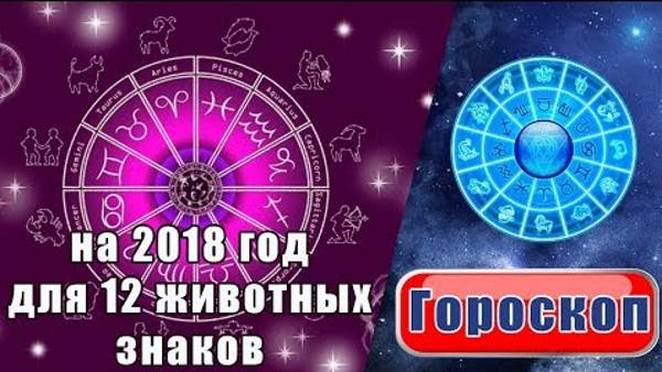 Kratkiy goroskop na 2018 god 2 Краткий гороскоп на 2018 год   2